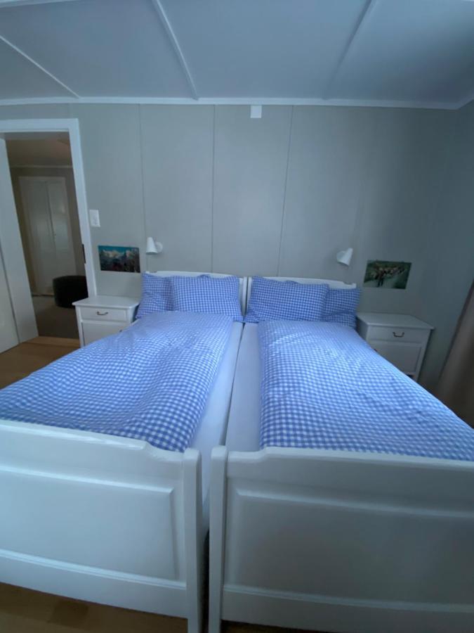 Familienferien Im Chalet Baergli คันเดอร์ชเตค ภายนอก รูปภาพ